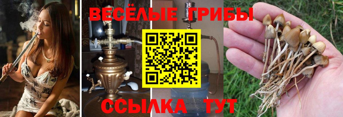 Галлюциногенные грибы Magic Shrooms  Вход с VPN  Дивногорск 